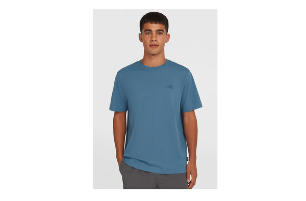 Camiseta O´Neill Small Logo