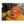 Gorra Mojokite Sport V2