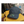 Gorra Mojokite Sport V2
