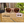 Gafas Moken Maikan Cava-Pink