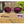 Gafas Moken Maikan Rojo Revo