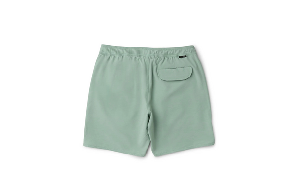 Shorts Vissla Solid Sets