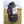 Kite Ozone Catalyst V4 10m2 Usada
