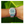 Reloj Freestyle Mint Pop
