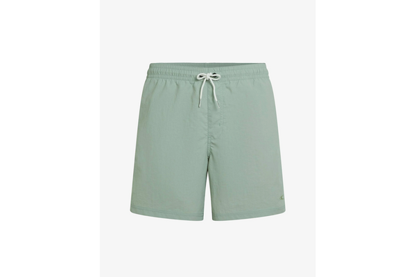 O'Neill Vert 16" Light Green Shorts