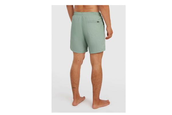 O'Neill Vert 16" Light Green Shorts