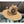 Straw Hat After