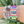 Freestyle Watch Sour Apple