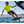 Lycra O'Neill Basic Neon SS