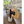 Skateboard cruiser globe madera from the side