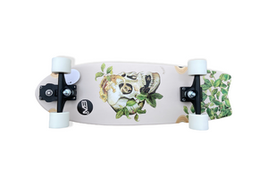 surfskate MB